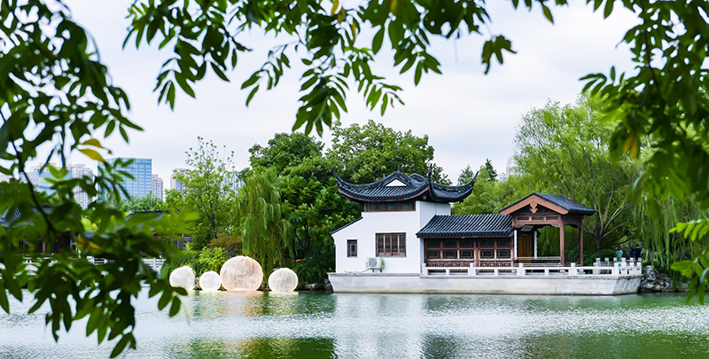 新宝GG—创立事业平台